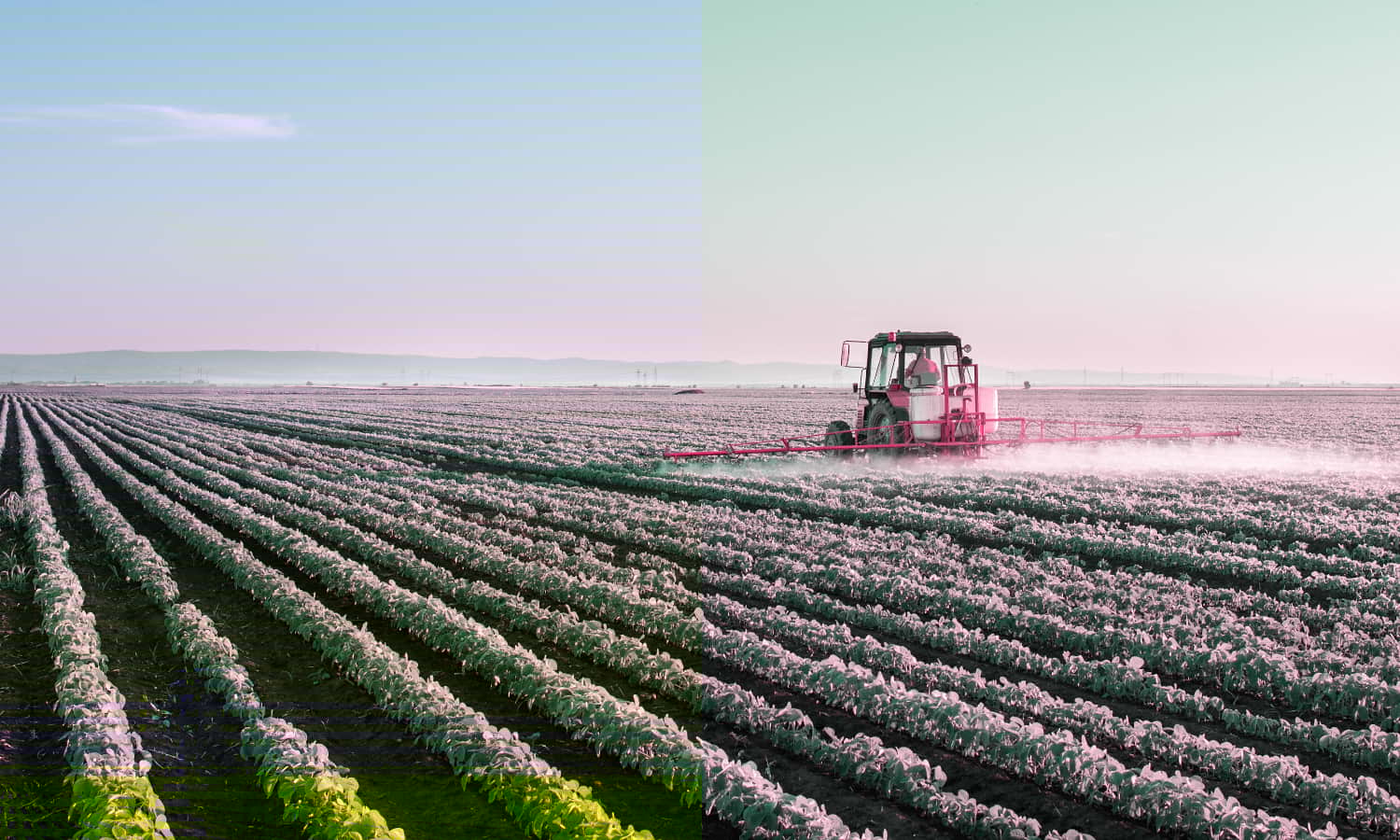 FoodTank_agriculturesubsidiesworldbankreport